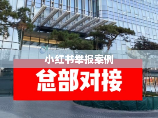 小红书举报案例