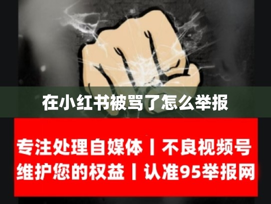 在小红书被骂了怎么举报