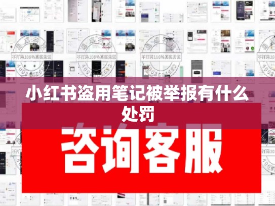 小红书盗用笔记被举报有什么处罚