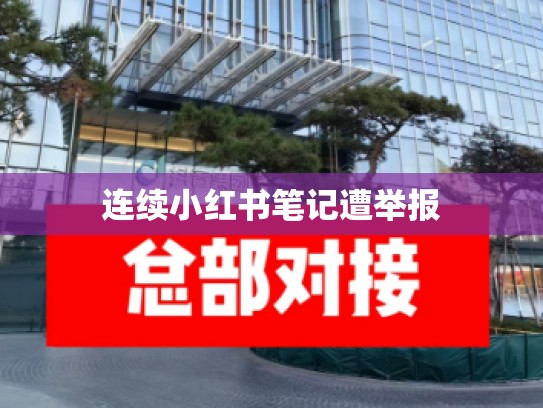 连续小红书笔记遭举报