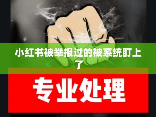 小红书被举报过的被系统盯上了