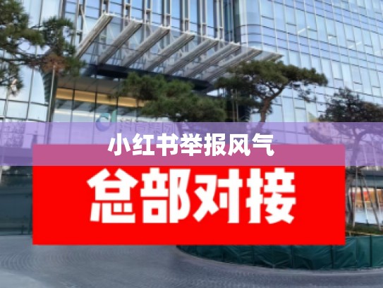 小红书举报风气