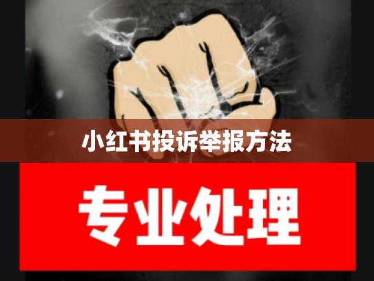 小红书投诉举报方法