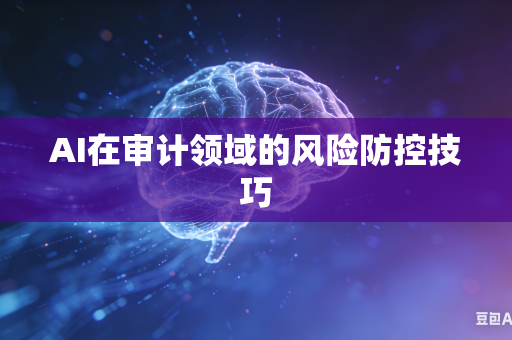 AI在审计领域的风险防控技巧