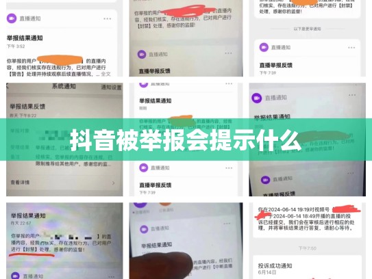 抖音被举报会提示什么