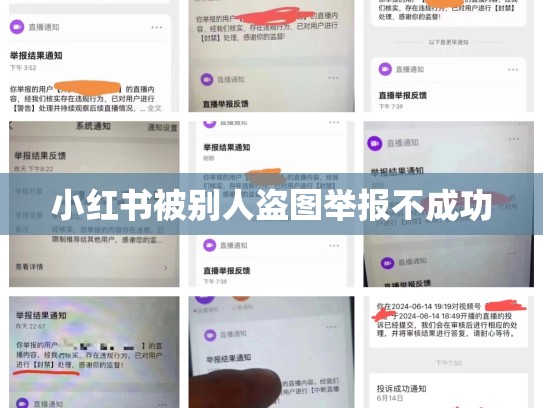 小红书被别人盗图举报不成功