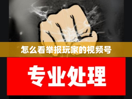 怎么看举报玩家的视频号