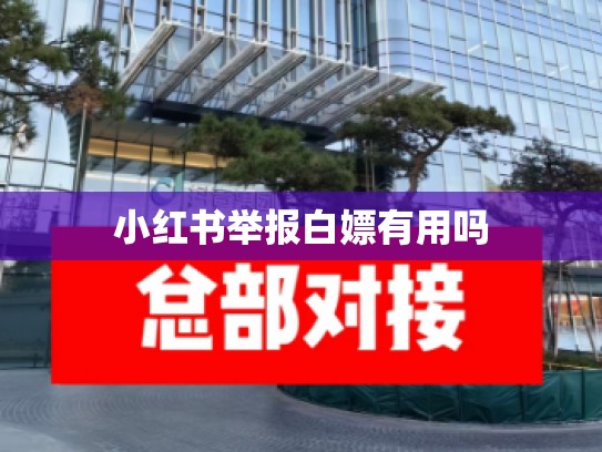 小红书举报白嫖有用吗
