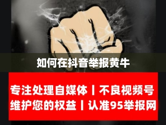 如何在抖音举报黄牛