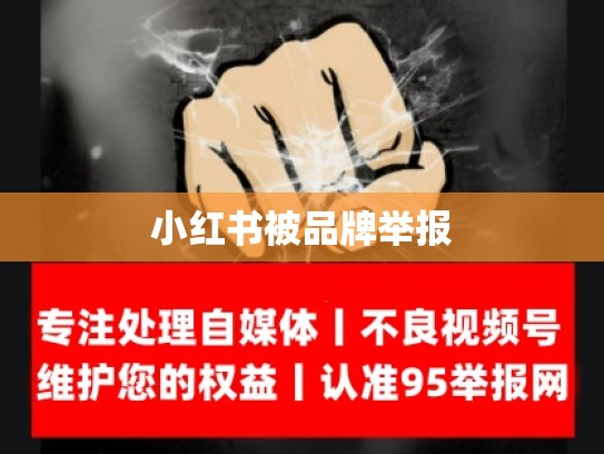 小红书被品牌举报
