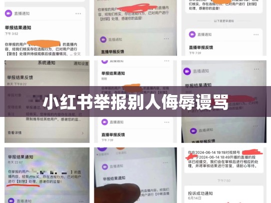 小红书举报别人侮辱谩骂