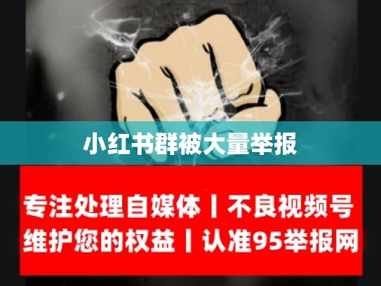 小红书群被大量举报
