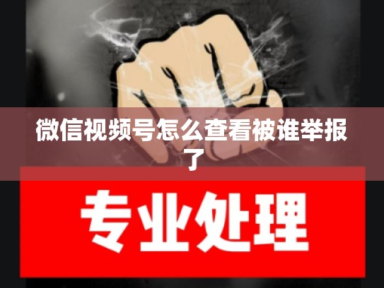 微信视频号怎么查看被谁举报了