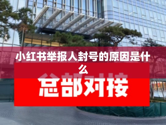 小红书举报人封号的原因是什么