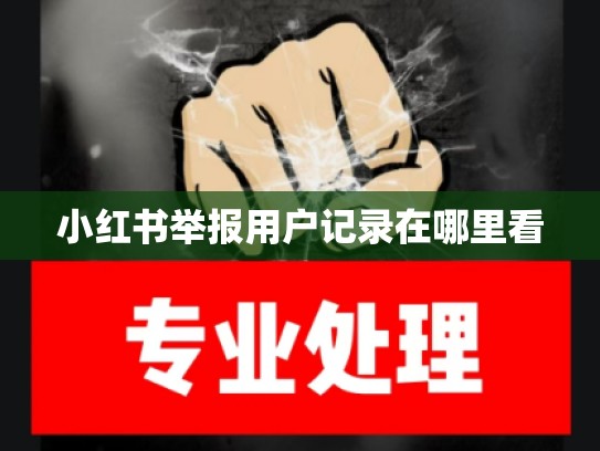 小红书举报用户记录在哪里看