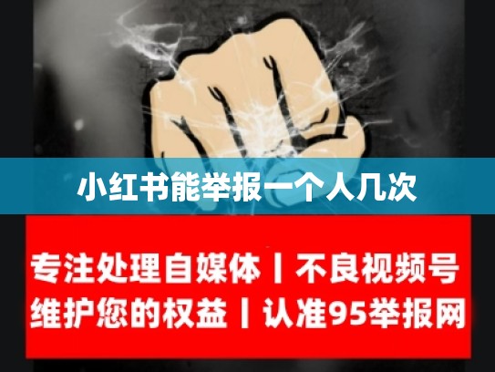 小红书能举报一个人几次
