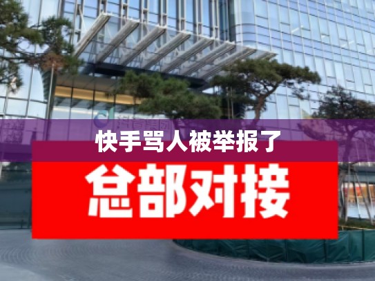 快手骂人被举报了