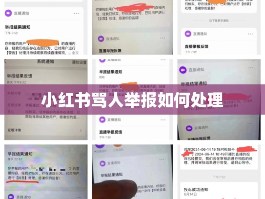 小红书骂人举报如何处理