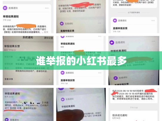 谁举报的小红书最多