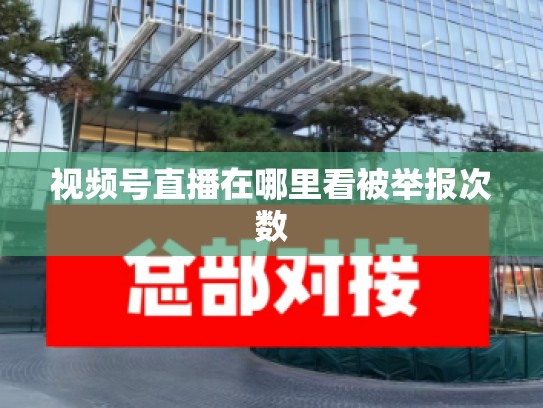 视频号直播在哪里看被举报次数