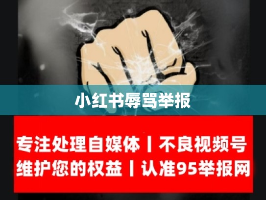 小红书辱骂举报