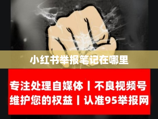 小红书举报笔记在哪里