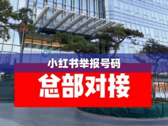 小红书举报号码