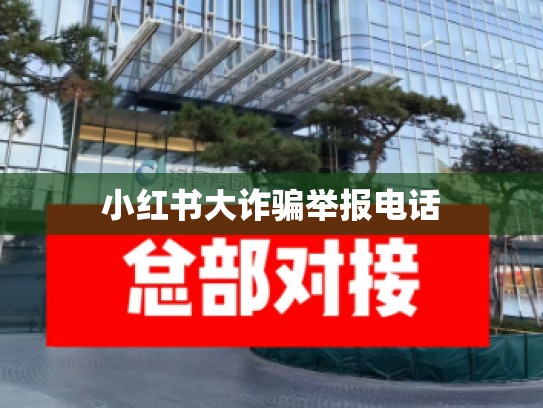 小红书大诈骗举报电话