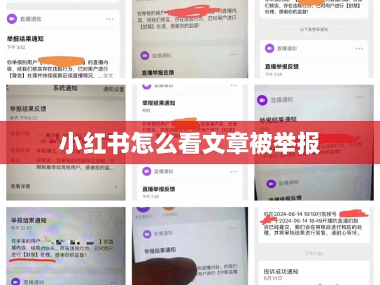 小红书怎么看文章被举报