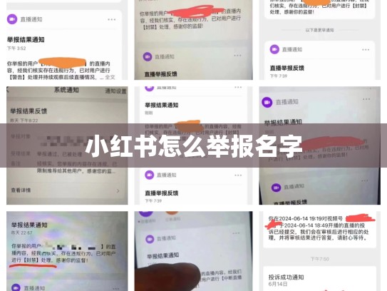 小红书怎么举报名字