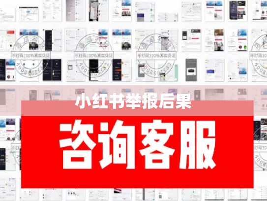 小红书举报后果
