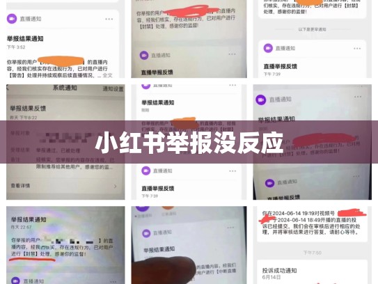 小红书举报没反应