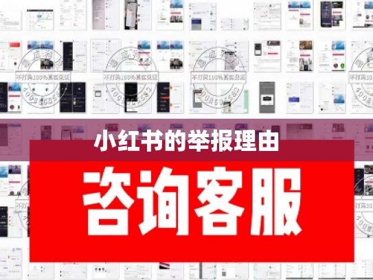 小红书的举报理由