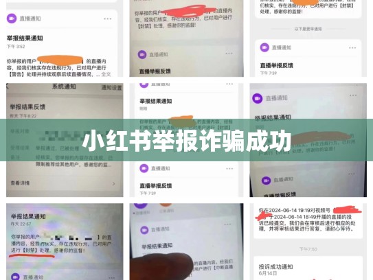 小红书举报诈骗成功
