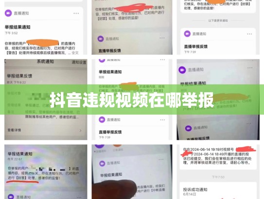 抖音违规视频在哪举报
