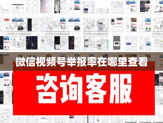 微信视频号举报率在哪里查看