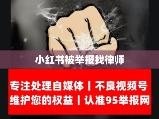 小红书被举报找律师