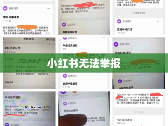 小红书无法举报