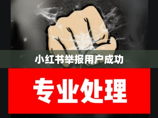 小红书举报用户成功
