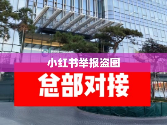 小红书举报盗图