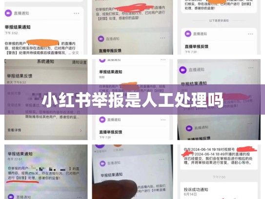 小红书举报是人工处理吗