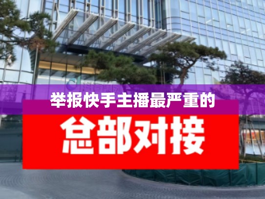 举报快手主播最严重的