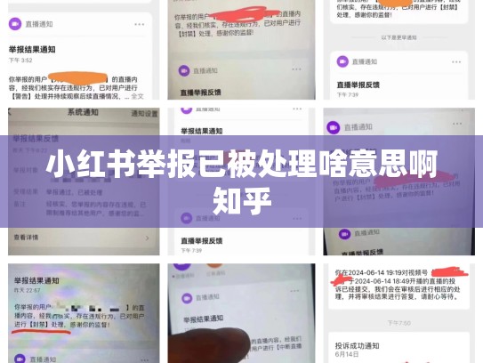 小红书举报已被处理啥意思啊知乎