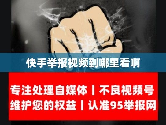 快手举报视频到哪里看啊