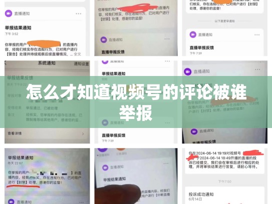 怎么才知道视频号的评论被谁举报