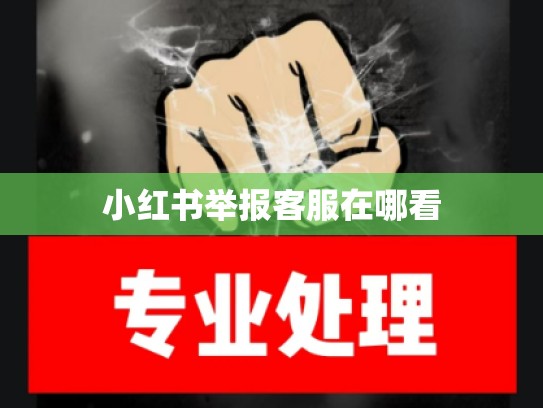 小红书举报客服在哪看