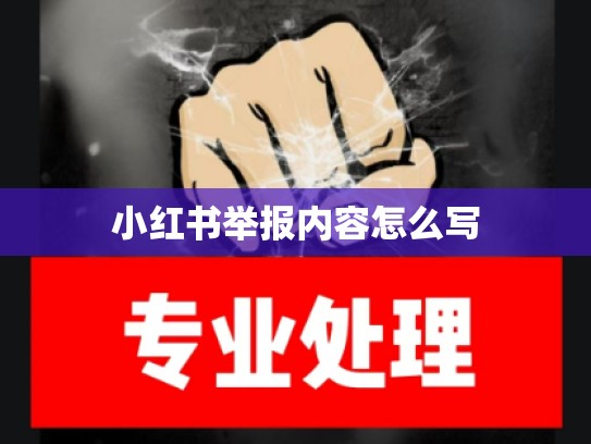 小红书举报内容怎么写