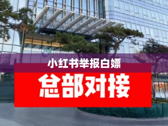 小红书举报白嫖