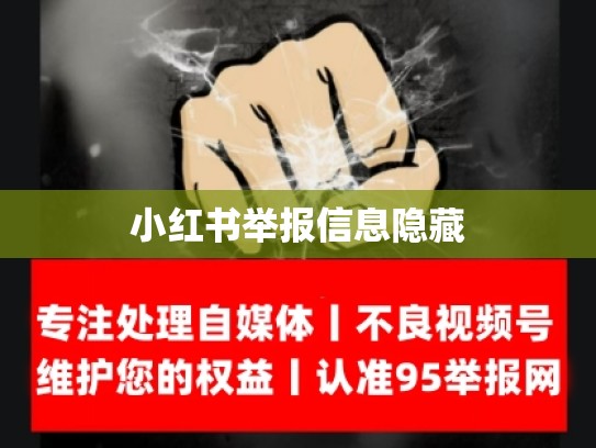 小红书举报信息隐藏