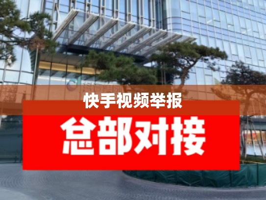 快手视频举报